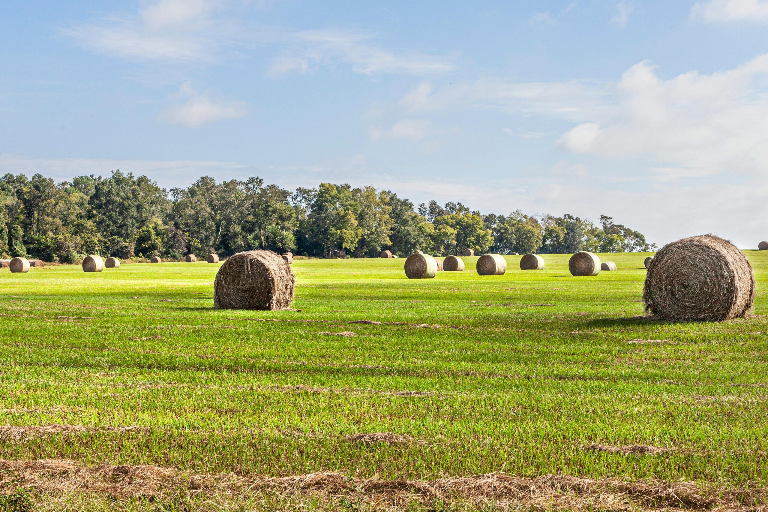 Farm Listings