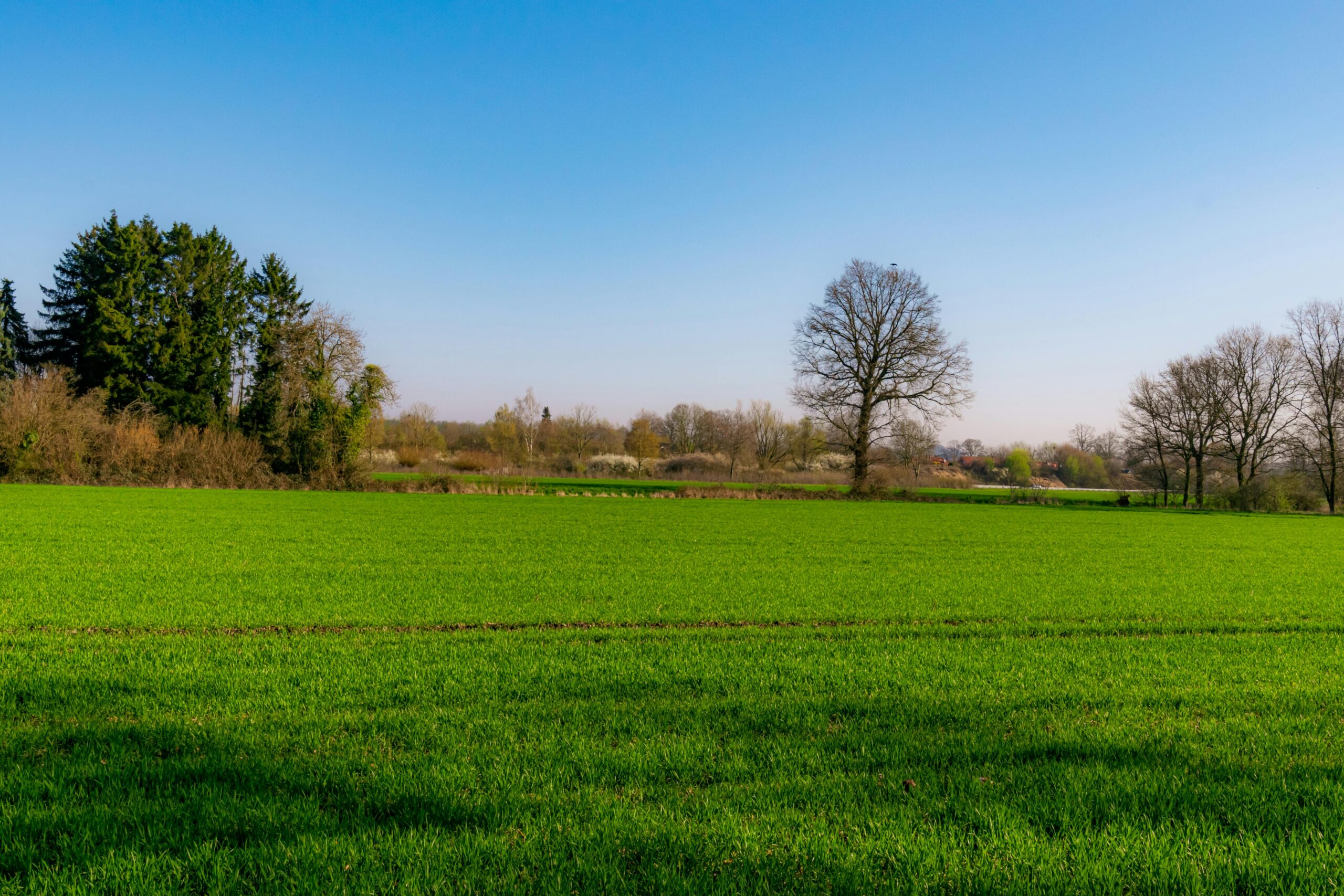 Lots & Land Listings